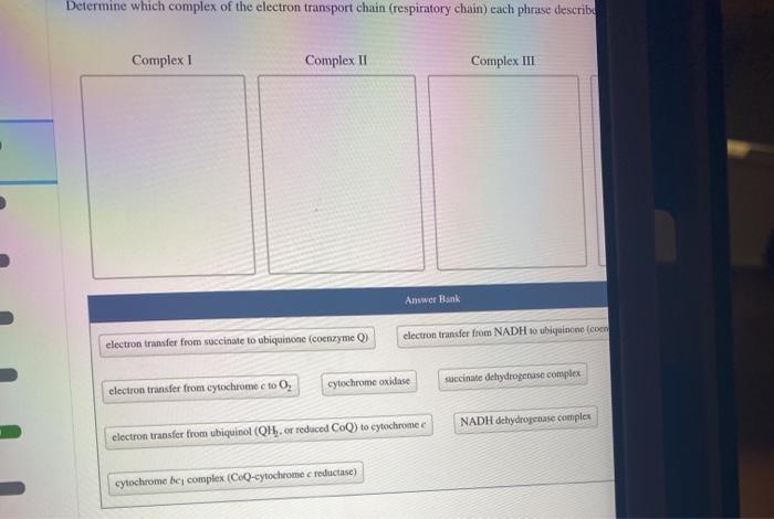 Solved Determine which complex of the electron transport | Chegg.com