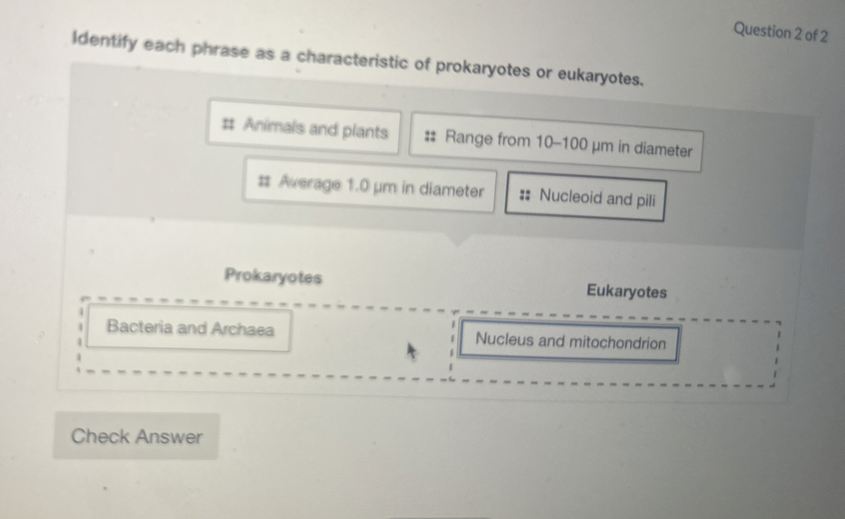 Solved Identify each phrase as a characteristic of | Chegg.com