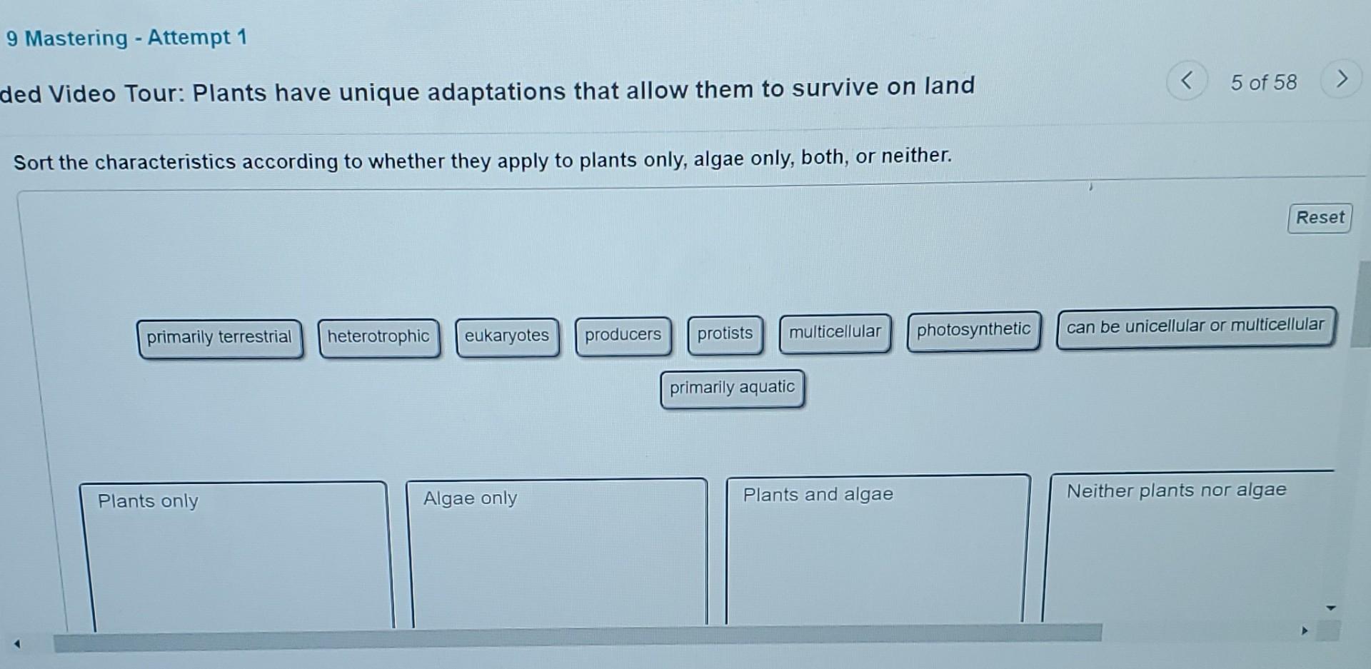 Solved Mastering - Attempt 1 D Video Tour: Plants Have | Chegg.com