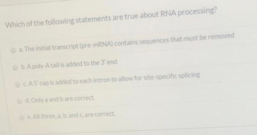Solved Which Of The Following Statements Are True About Rna | Chegg.com Solved Which Of The Following Statements Are True About Rna | Chegg.com