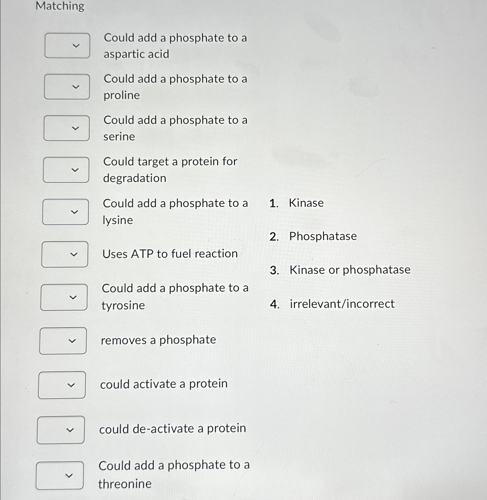 Solved MatchingCould add a phosphate to a aspartic acidCould | Chegg.com