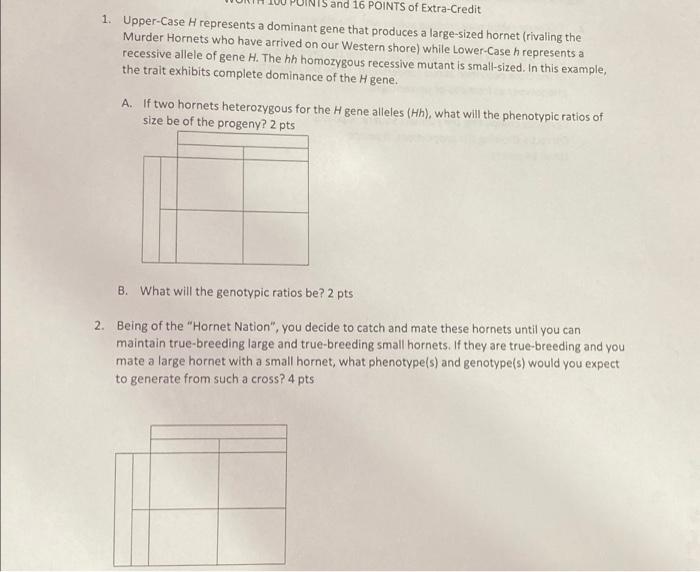Solved this is for my Genetics class please answer all | Chegg.com