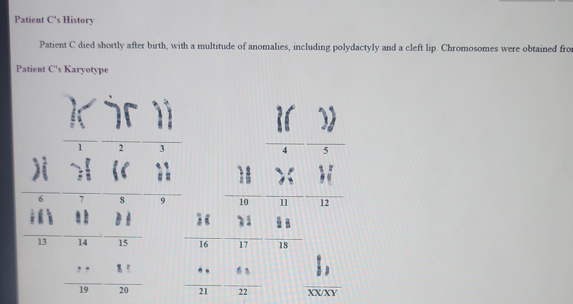 Solved Interpreting the karyotype Lab technicians compile | Chegg.com