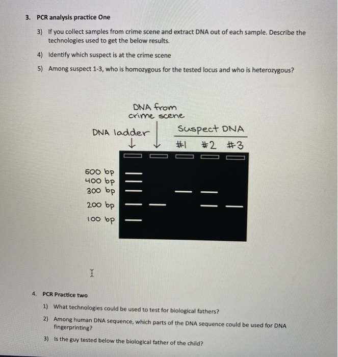 Solved 3. PCR analysis practice One 3) If you collect | Chegg.com