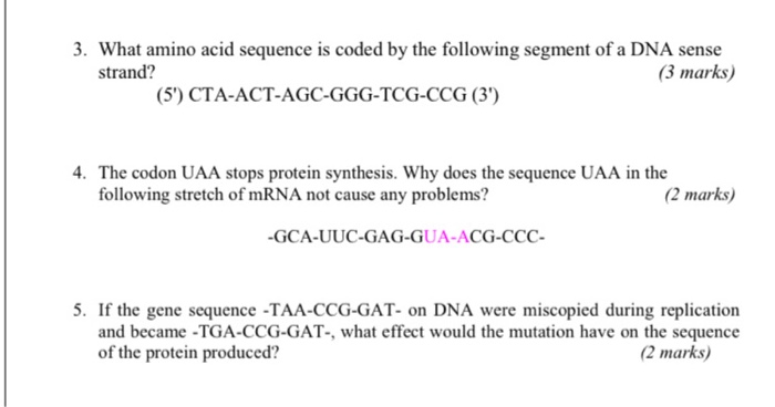 Solved 3. What amino acid sequence is coded by the following | Chegg.com