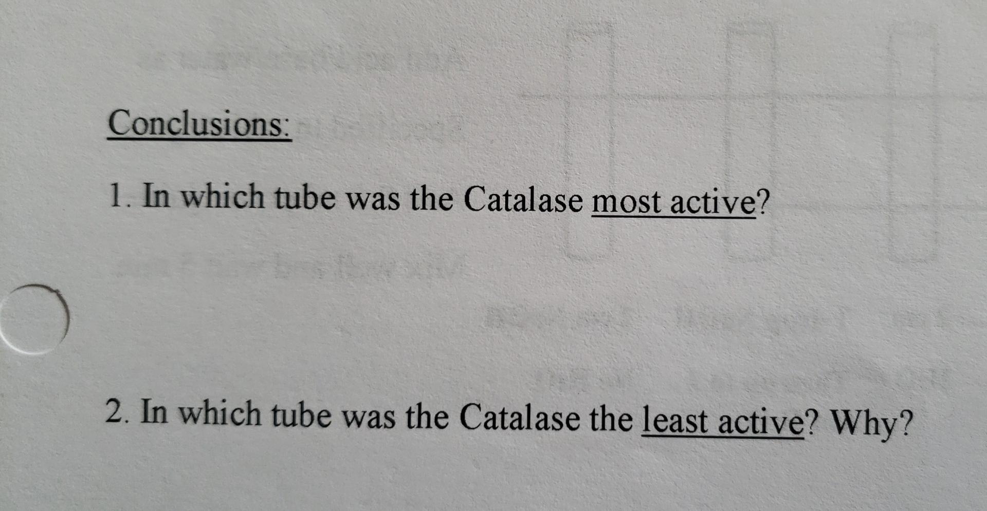 Solved Lab Activity B: The Effect of Temperature on the | Chegg.com