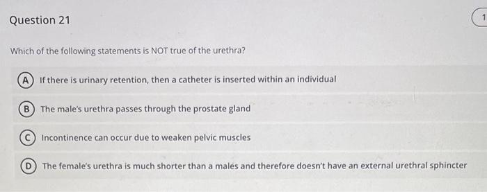 Question 21
Which of the following statements is NOT true of the urethra?
If there is urinary retention, then a catheter is i