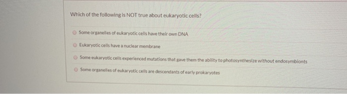 which of the following is not an example of eukaryotic cells