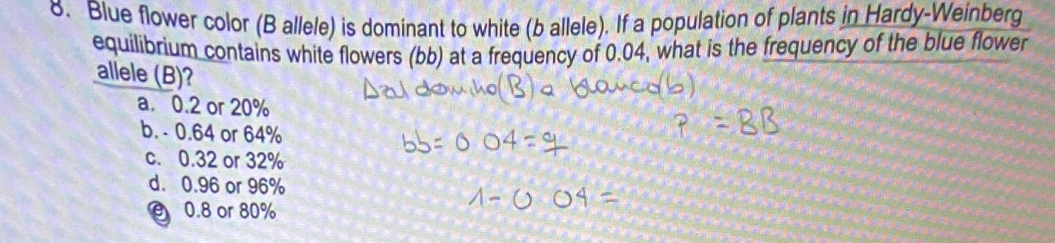 Solved Blue flower color ( B ﻿allele) ﻿is dominant to white | Chegg.com