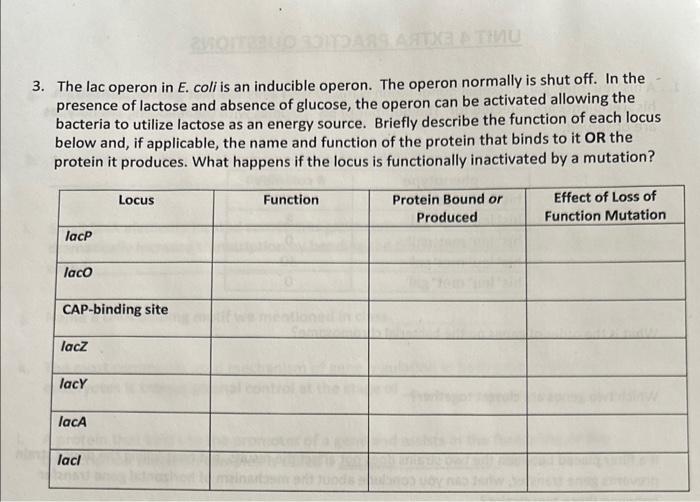 Solved The lac operon in E. coli is an inducible operon. The | Chegg.com