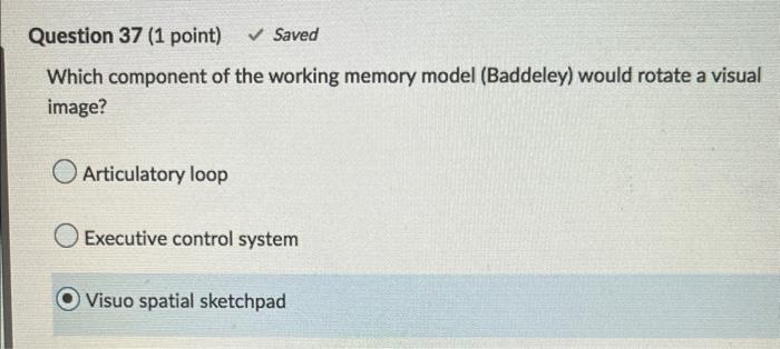Solved Which component of the working memory model | Chegg.com