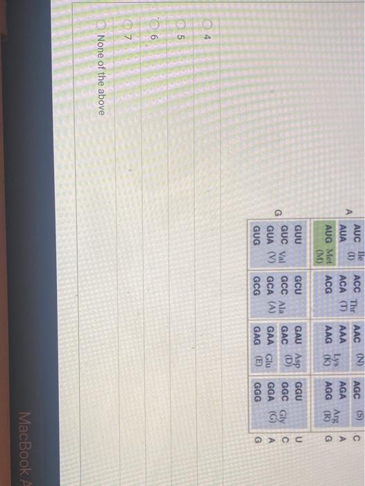 Solved Below is the CODING STRAND of a small gene that codes | Chegg.com