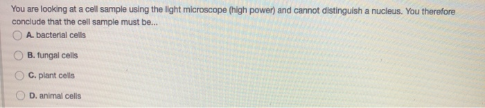 Solved You are looking at a cell sample using the light | Chegg.com