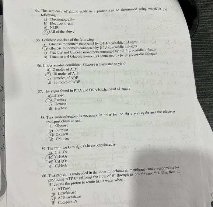 Solved 54. The sequence of amino acids in a protein can be | Chegg.com