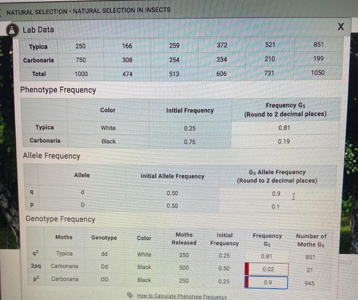 Solved NATURAL SELECTION - NATURAL SELECTION IN INSECTS Lab | Chegg.com