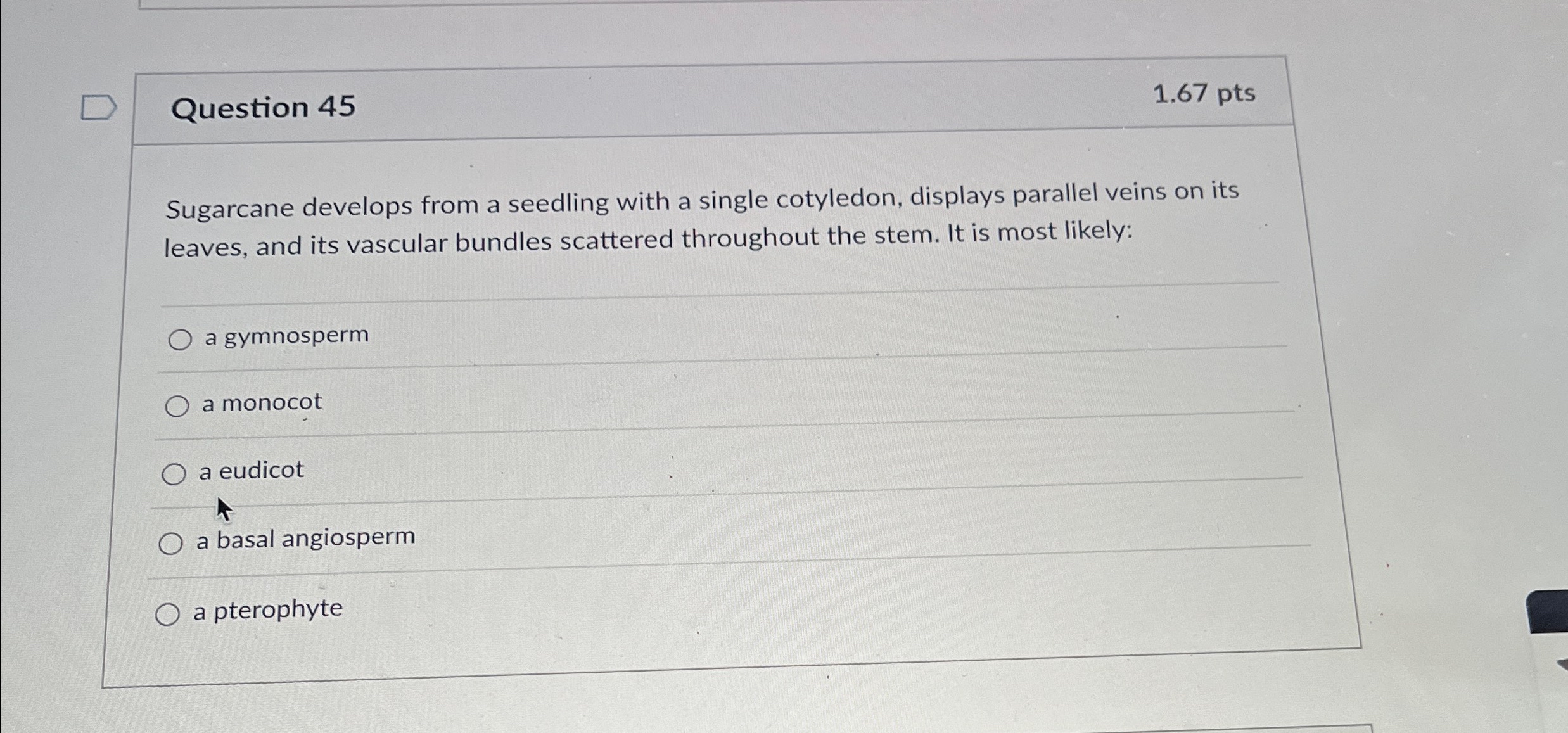 Solved Question 451.67 ﻿ptsSugarcane develops from a | Chegg.com