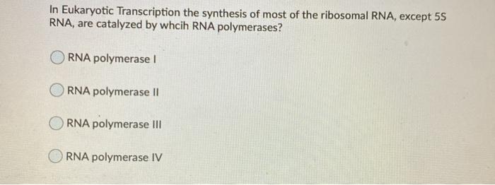 Solved Unlike DNA Polymerases RNA Polymerases Begin | Chegg.com