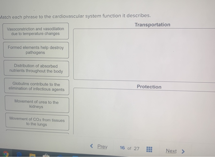 solved-match-each-phrase-to-the-cardiovascular-system-chegg