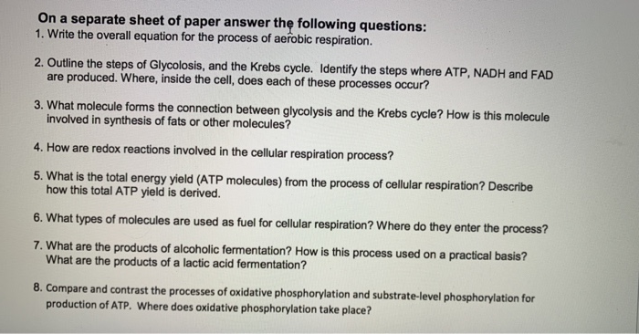 Solved On a separate sheet of paper answer the following | Chegg.com