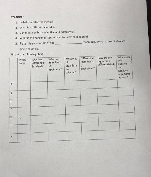 Solved STATIONC 1. What is a selective media? a 2. What is a | Chegg.com