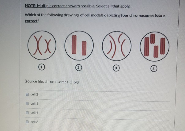 Solved NOTE: Multiple correct answers possible. Select all | Chegg.com