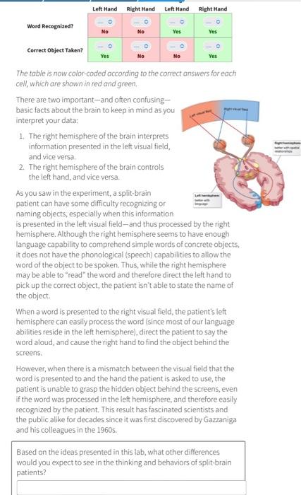 Solved Left Hand Right Hand Left Hand Right Hand Word | Chegg.com