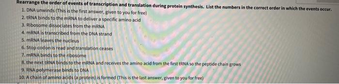 Rearrange the order of events of transcription and translation during protein synthesis. List the numbers in the correct orde