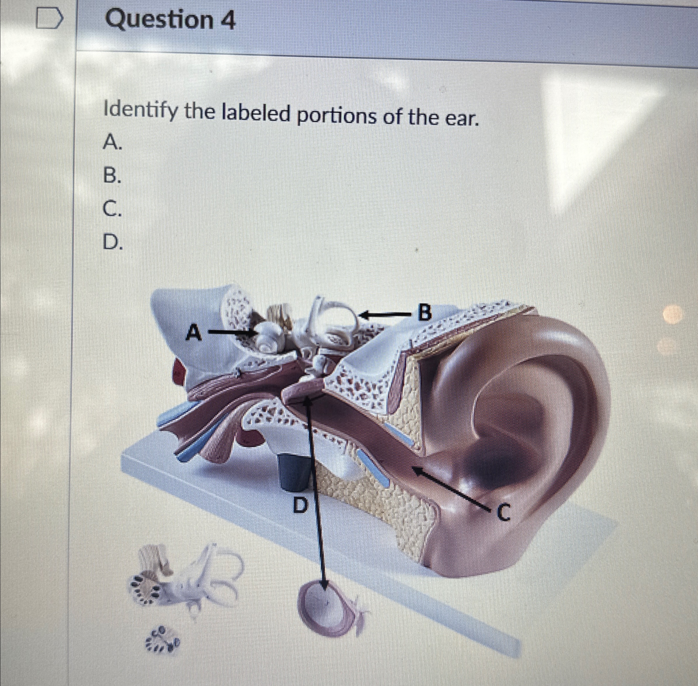 Solved Question 4Identify the labeled portions of the | Chegg.com