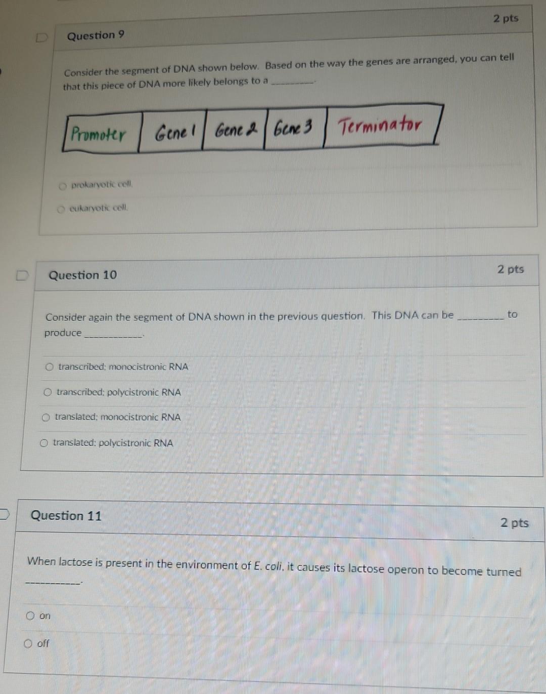 Solved Consider the segment of DNA shown below. Based on the | Chegg.com