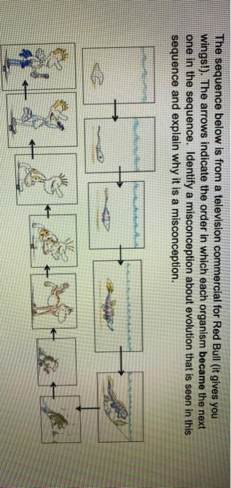 Solved The Sequence Below Is From A Television Commercial Chegg Com