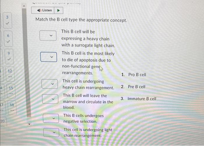 Solved Match The B Cell Type The Appropriate Concept. This B | Chegg.com