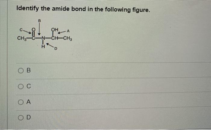 Solved Identify The Amide Bond In The Following Figure. B HA | Chegg.com