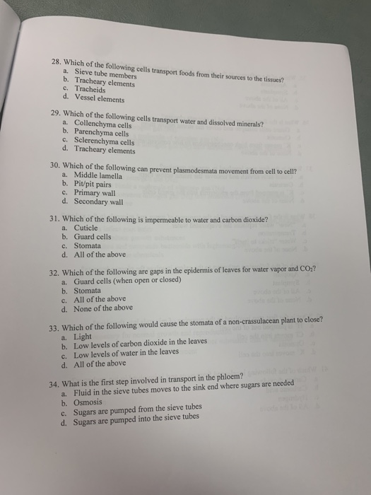 Solved There are 50 questions. Each question is worth 2 | Chegg.com