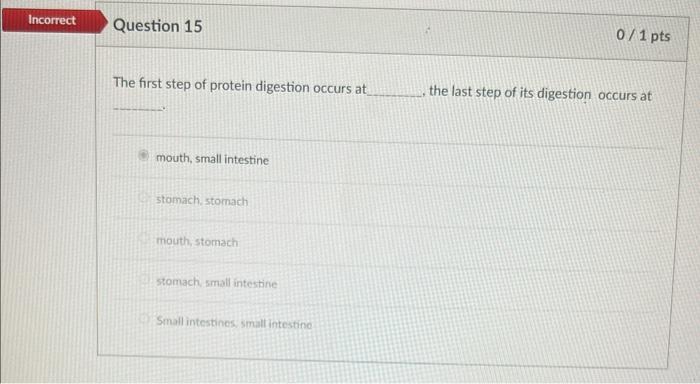 Solved The first step of protein digestion occurs at the | Chegg.com