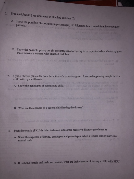 Solved 6. Free earlobes (F) are dominant to attached | Chegg.com