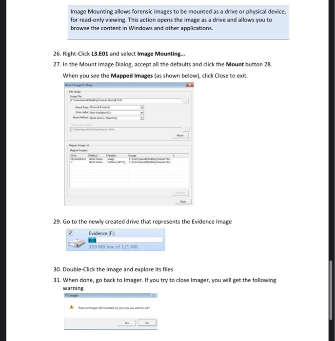 Solved Task 1 Basic Imaging Ftk Imager Task Objectives Chegg Com