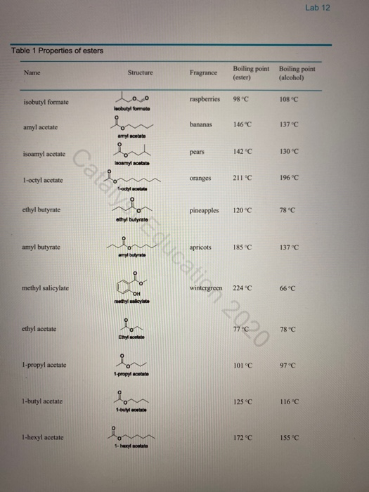 Lab 12 Synthesis of Esters Objectives • Prepare