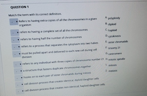 Solved QUESTION 1 Match the term with its correct | Chegg.com