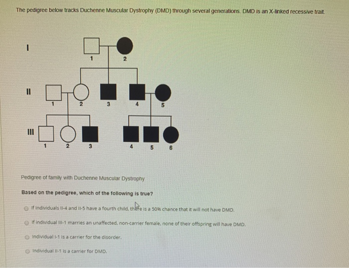 Solved The pedigree below tracks Duchenne Muscular Dystrophy | Chegg.com