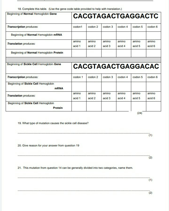 Solved 18. Complete this table. (Use the gene code table | Chegg.com