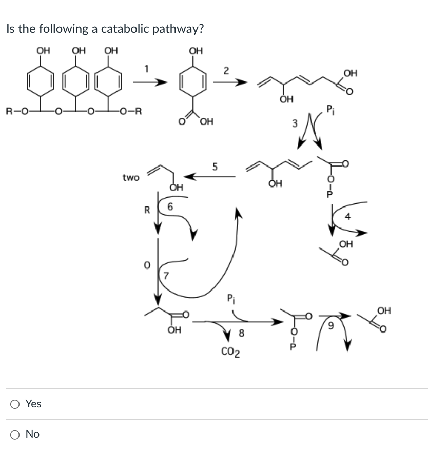 Solved Is the following a catabolic pathway?YesNo | Chegg.com