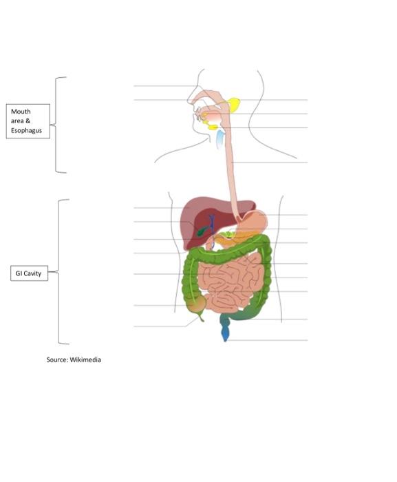 Solved label the diagram below | Chegg.com