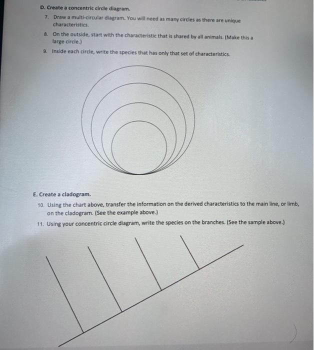 Solved D. Create a concentric circle diagram. 7. Draw a 