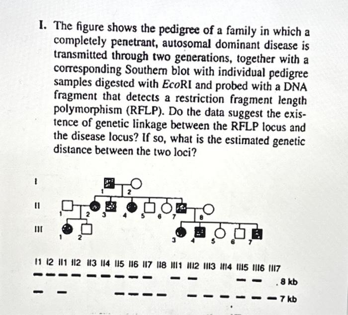 Solved I. The figure shows the pedigree of a family in which | Chegg.com