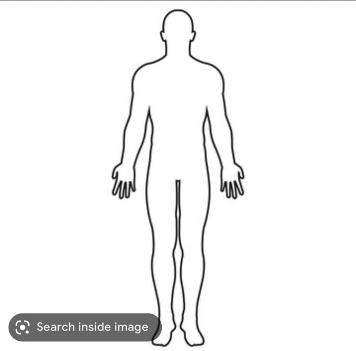 Solved Make these two incisions on the body provided | Chegg.com