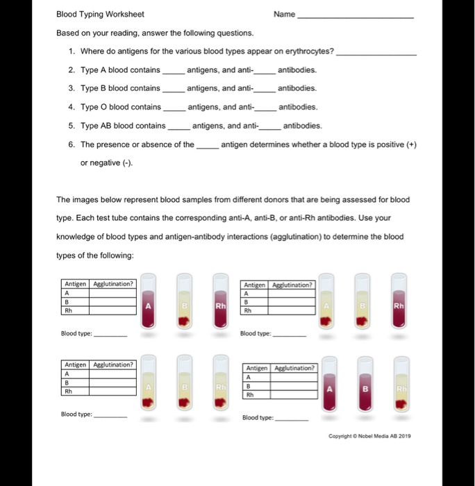Solved Blood Typing Worksheet Name Based on your reading, | Chegg.com