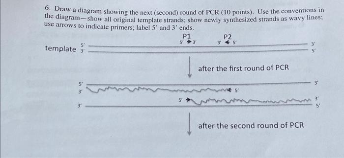 Solved 6. Draw a diagram showing the next (second) round of | Chegg.com