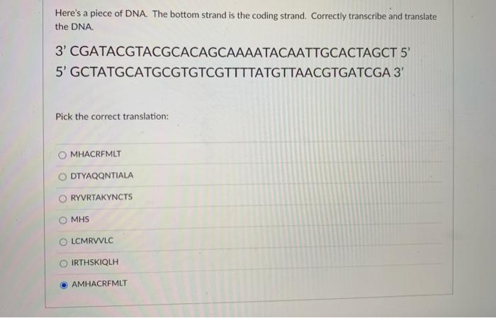 Solved Here's a piece of DNA. The bottom strand is the | Chegg.com