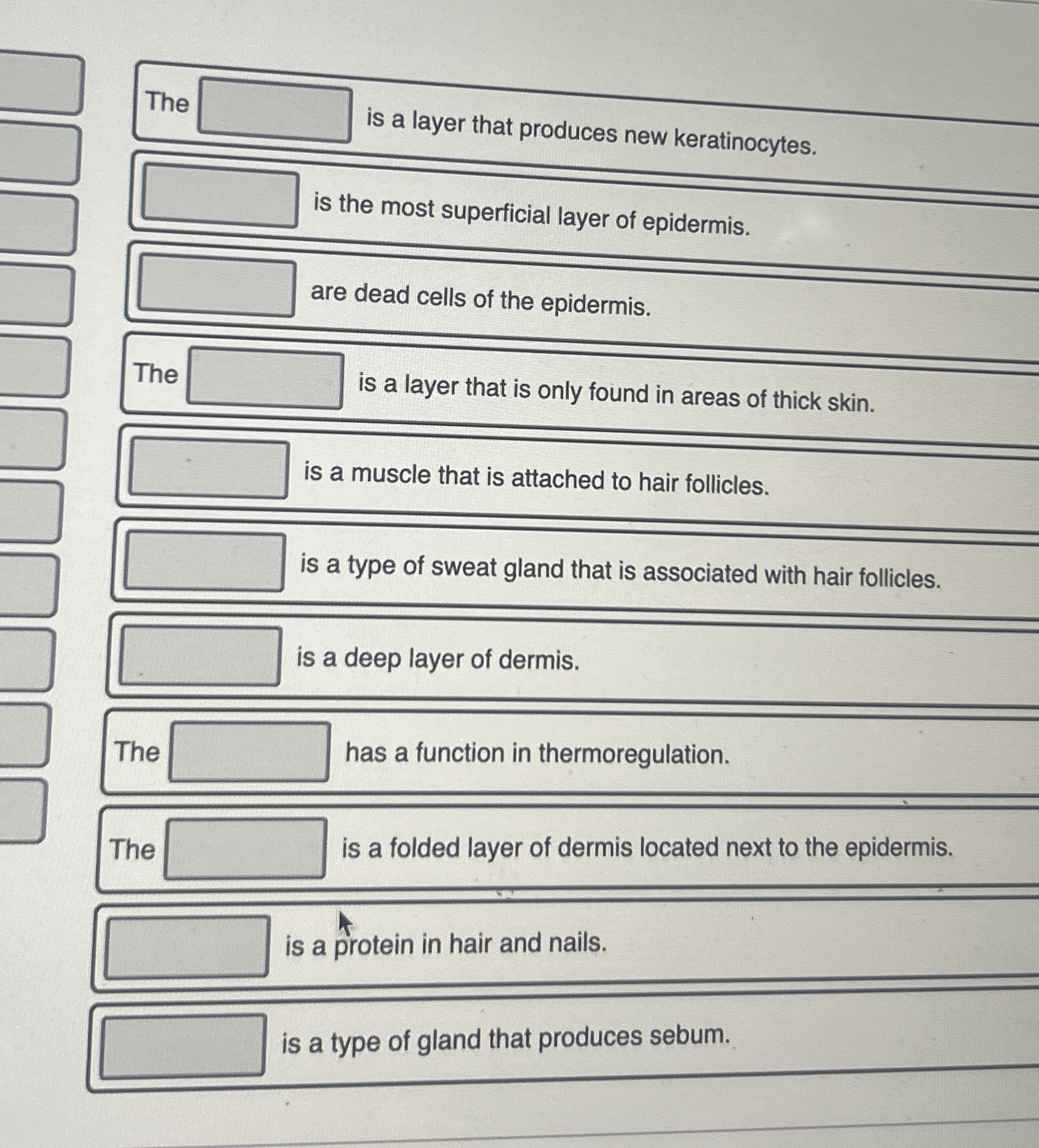 Solved The is a layer that produces new keratinocytes.is the