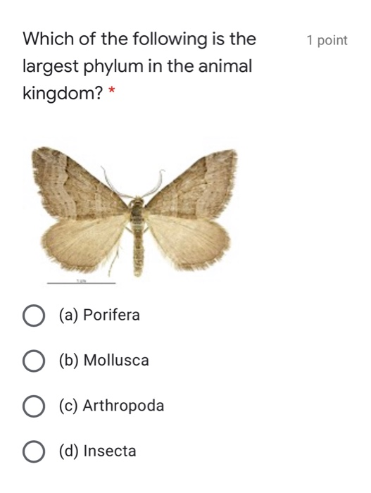 Solved 1 point Which of the following is the largest phylum 